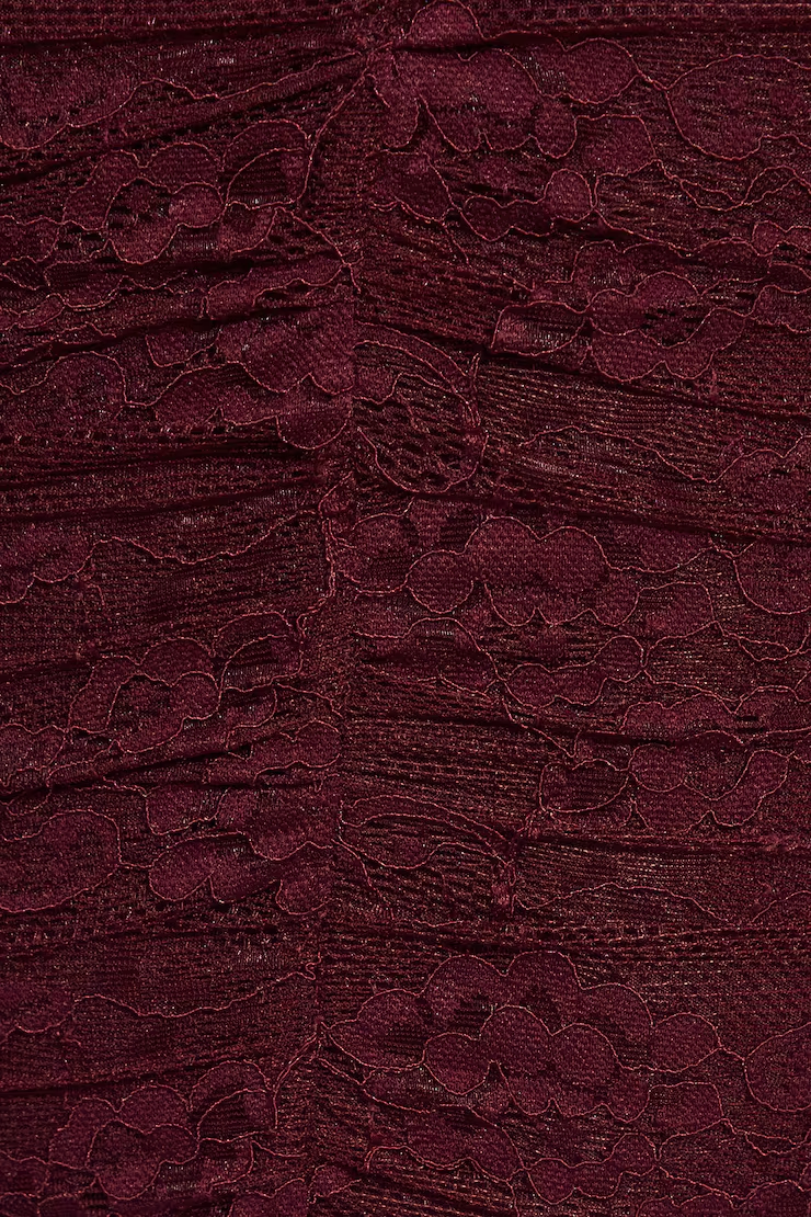 Scarlet Lace Plunge Mini Dress - Image 4