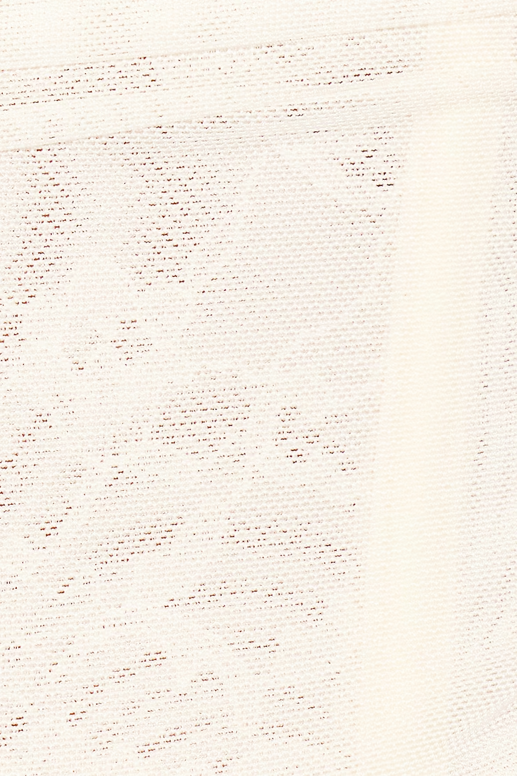 Ally Mesh Peekaboo Bustier - Image 5